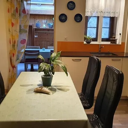 Apartment Ferienwohnung Saegegasse Trub